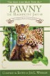 Tawny the Magnificent Jaguar