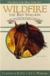Wildfire the Red Stallion