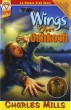 Wings Over Oshkosh